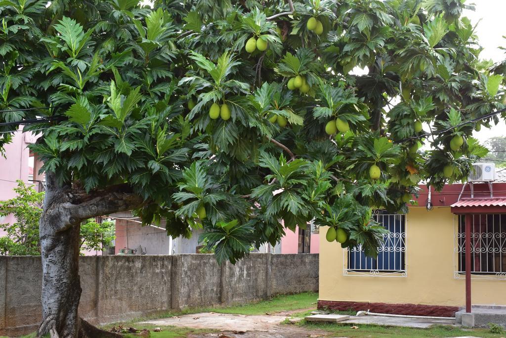 Posada James San Andrés Esterno foto